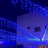 新潟市下越限定❗️50代のシングルの集まり❗️飲み会🍻ランチ会🍽️