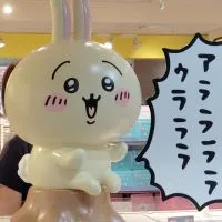 ちいかわ好きな人集まれ〜🐱🐰🐻