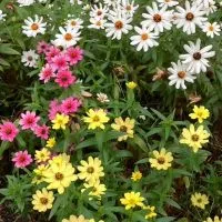 全国介護職⭐︎雑談交流