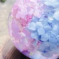🌈おでかけ・おうち🏡時間を楽しも〜ᕷ*.°