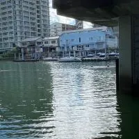 バス釣り！初心者歓ゲイ🔰