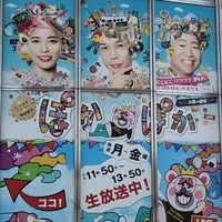 非公式ぽかぽか🐷