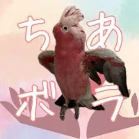 【ボランティア】ちあボラ