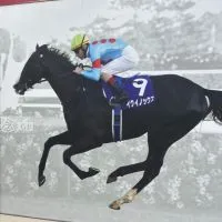 競馬好きな人集まれ〜！