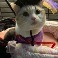 🎀英美瑠のお部屋🎀