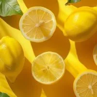 🍋大人 雑談🍋40代 50代🍋ライブトーク🍋友達100人できるかな🍋