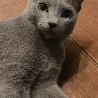 オプチャの宣伝場所