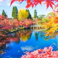 芸能人と恋しちゃう？