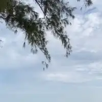 タイ沼時々アジアBLin広島(中国地方)