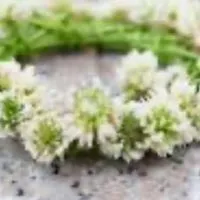 ペットロス🌱最愛の我が子への想いを語りましょう