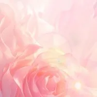 AromaDropsシェアリンググループ