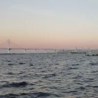 不登校集まれ!