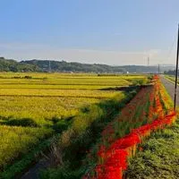 九州観光案内所