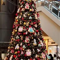 精神疾患当事者同士の居場所✿静岡東部✿