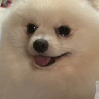 このゲーム簡単w