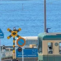 愛知県の子おいで〜‼️