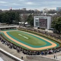 かりんの競馬共和国