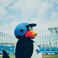 40代50代独身女の野球観戦