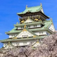 TEAMGASA　関西　ガサガサ&フィッシング　日本淡水魚飼育　ガサガサ採集　うなぎ釣り　投網