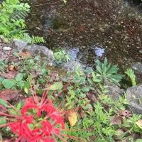 【兵庫県南東部】みんなでランチ🥗飲み会🍺お話ししょう