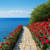 大人の恋バナ雑談Cafe🍒*⁀➷=͟͟͞♡初夏の兆し˖𓍢ִ໋🍹✧˚