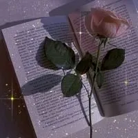 芸能人 nrkr