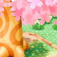 ポケ森コンプ🏕️ ゆる〜くつながろ🌱【女性限定】