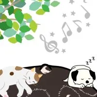 ゆるゆるハンドパン♪サークル