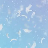 📸画像部屋(食べ物飲み物 風景 動物等)📸