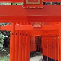 🌼６０代女性～オバンギャルの憩いの部屋🍓どうぞよろしく🌼