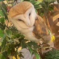 埼玉県 大人の雑談部屋