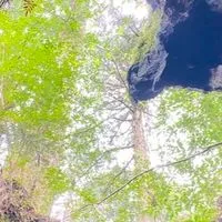⛰️山好きさん集まれ低山、中山登ろう東海3県　40代50代60代　BIBIHOME