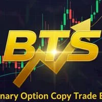 【BTS】（BINARY TRADE SYSTEM）