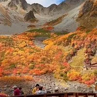 🌺山好きさん集まれ🌺低山、中山登ろう東海3県　40代50代60代　BIBIHOME