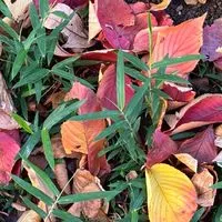 のんびり旅•お出かけトーク🌿