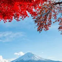 軽度知的障害さんの困り事Ⅱ