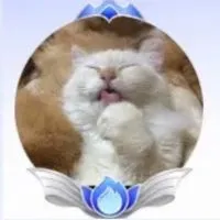 🐾ちゃしろ🐾のオプチャ