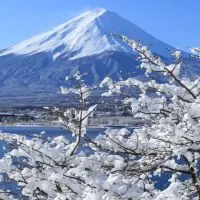 軽度知的障害さんの困り事Ⅱ