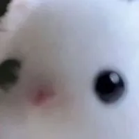 絵下手な人おいでーもちろん上手い人もカモン！雑談○