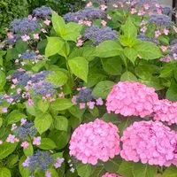 愛知-岐阜-三重   ２年A組   ４０▪５０代  楽しみましょー！