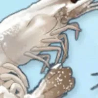 ブルアカ大好きオタク部