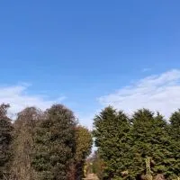 三鷹ジモトライフを楽しもう