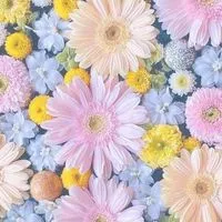 癒しのオプチャ宣伝/相互/集客【全国版】