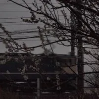 [KNT]鉄道ファンの会‼︎
