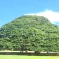 🍀東海🍀50代＆60代の同窓会🧑‍🎓雑談劇場🎭