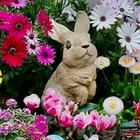 60代❤️‍🩹心に優しいお部屋🫶ノンストレスで楽しみましょう💃✨