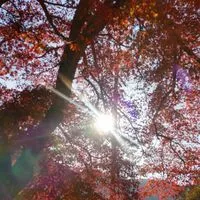 神戸　大阪　阪神間散歩計画ウォーキング