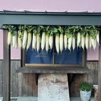 日本の香り〜食で、綺麗になる〜