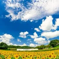 関西40代50代シングル～目指せリア充～🍀楽活🍀