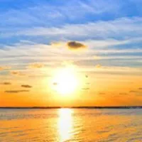 🏖️50代〜のシングルの仲間たち🏖️